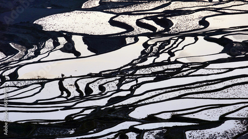 Wallpaper Mural terrace Torontodigital.ca