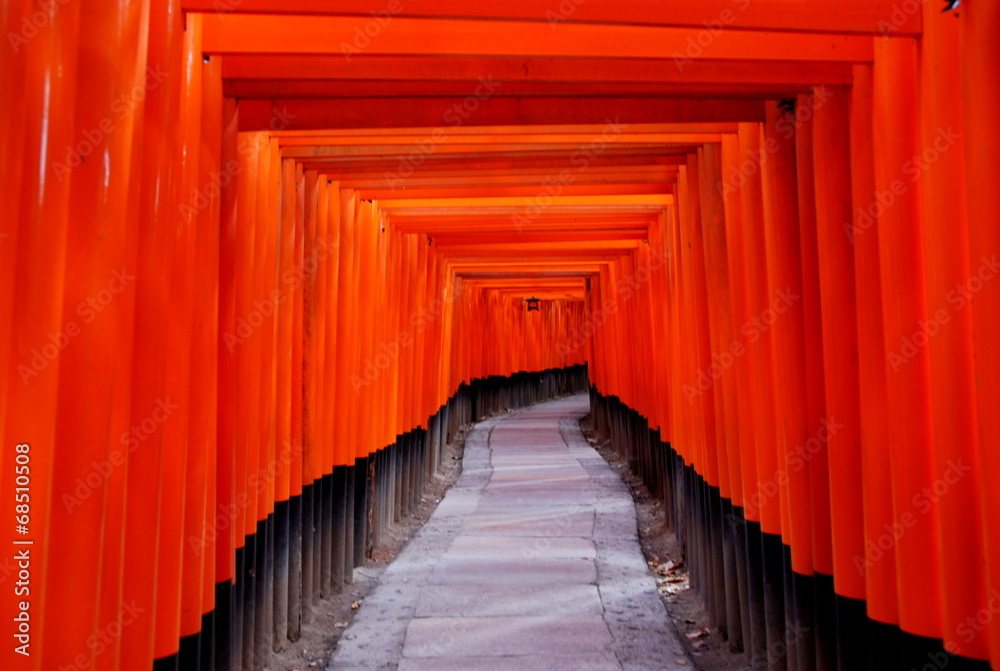 Fototapeta premium 伏見稲荷