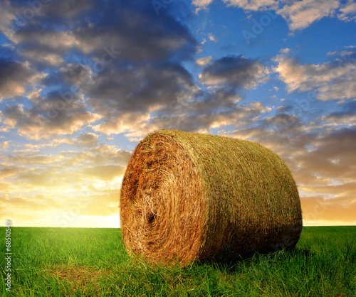 Valokuva straw bale in a lush green field in the sunset