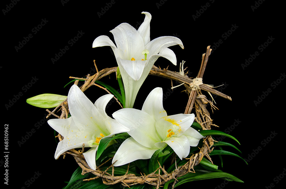 Easter lily with crown of thorns Easter lily with crown of thorns