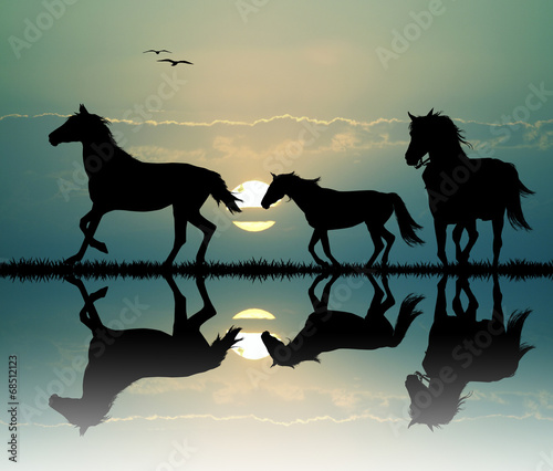 Fototapeta Naklejka Na Ścianę i Meble -  foals gallop at sunset