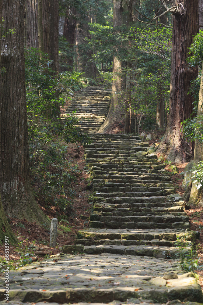 Obraz premium 熊野古道 大門坂