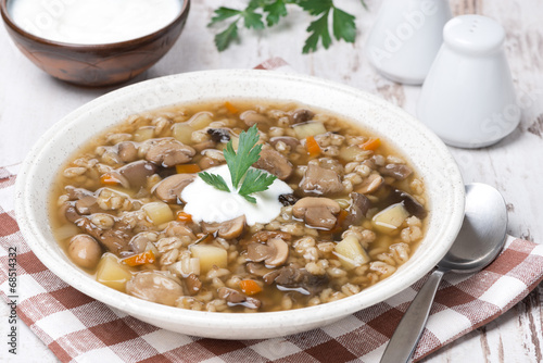 Billede på lærred mushroom soup with vegetables and pearl barley