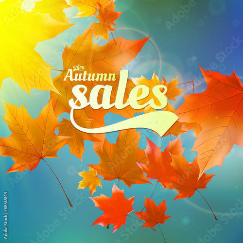 Autumn sale realistic Leaves typography poster.