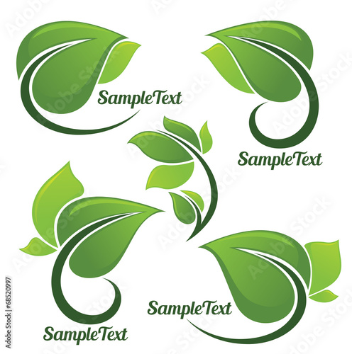 leaves plants and nature elements