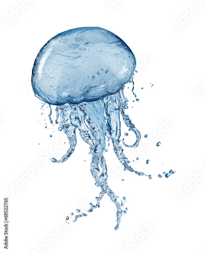 Water splash jellyfish