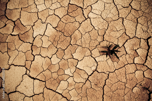 dry cracked clay ground,global warming