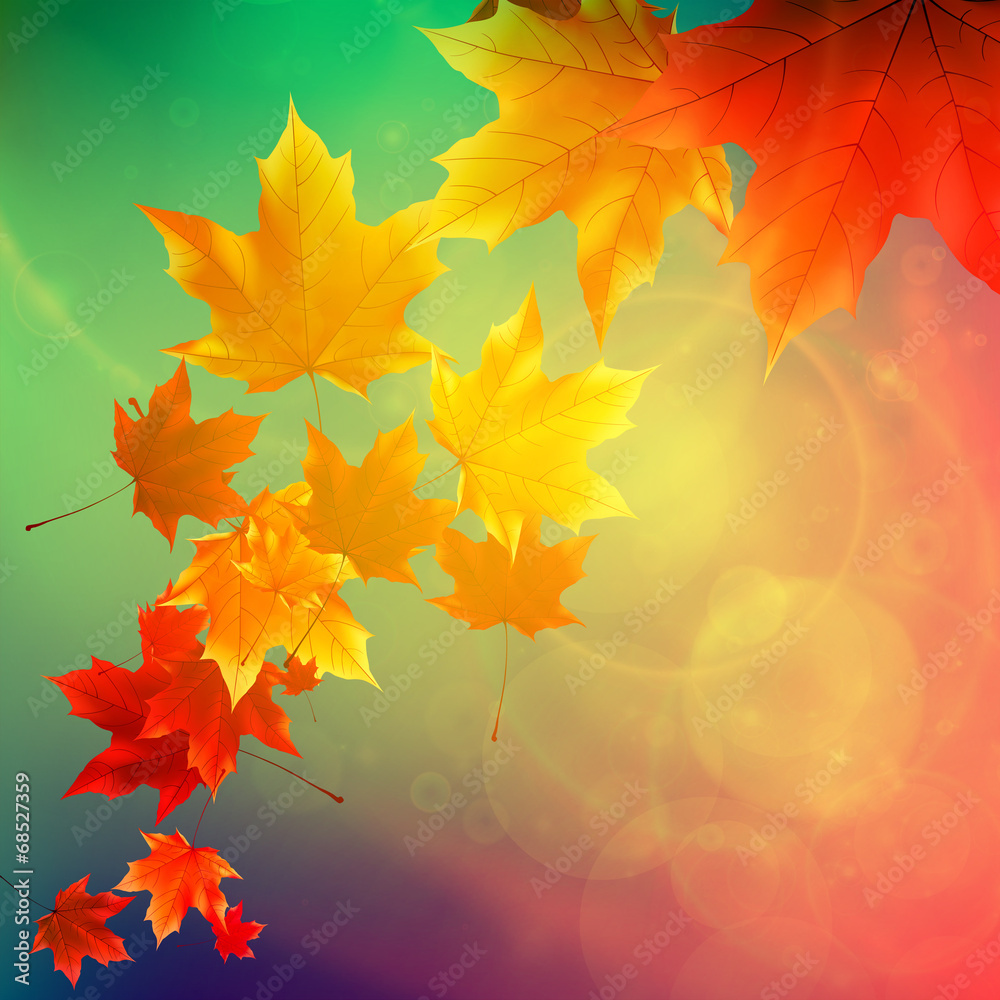 Beautiful autumn Leaves. Beautiful autumn Leaves.