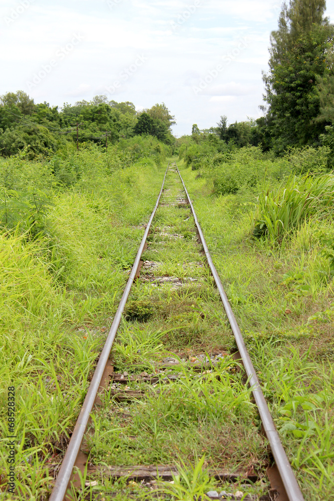 Old train tracks Old train tracks