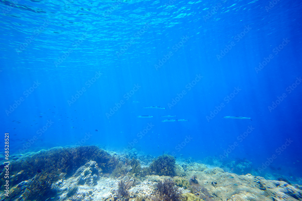 Underwater sunlight scena coral reef