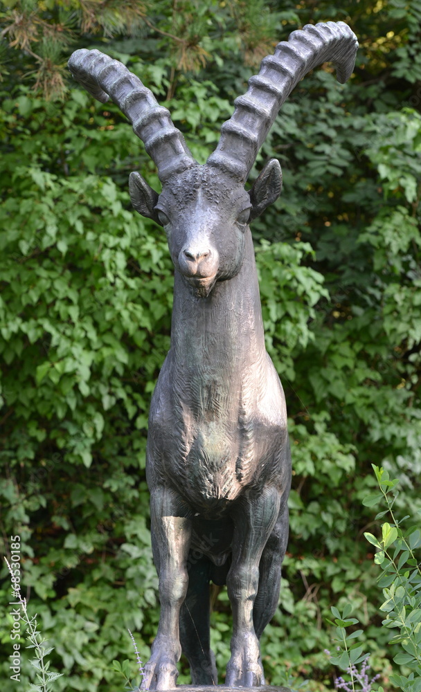Bouc Bouc