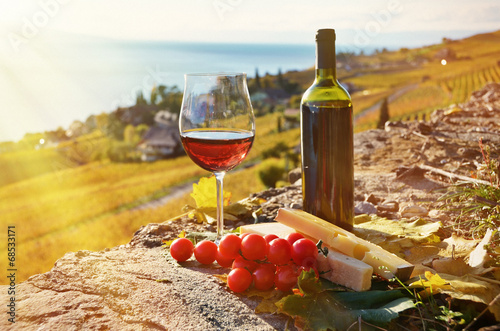 Fototapeta Naklejka Na Ścianę i Meble -  Wine and grapes. Lavaux region, Switzerland