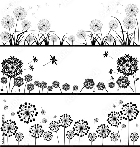 Dandelions vector set