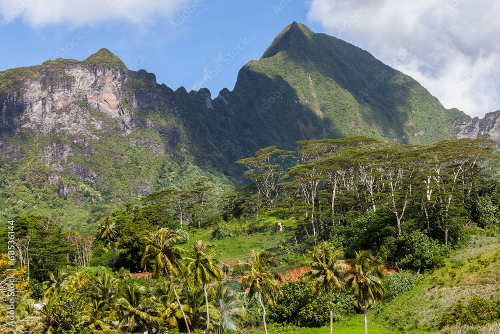 Montagne e vegetazione di Moorea, Polinesia francese
