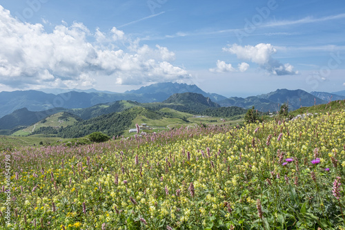 Fototapeta Naklejka Na Ścianę i Meble -  Vallata alpina