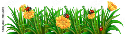 A garden with ladybugs