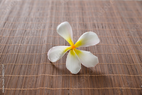 White frangipani flower on mat