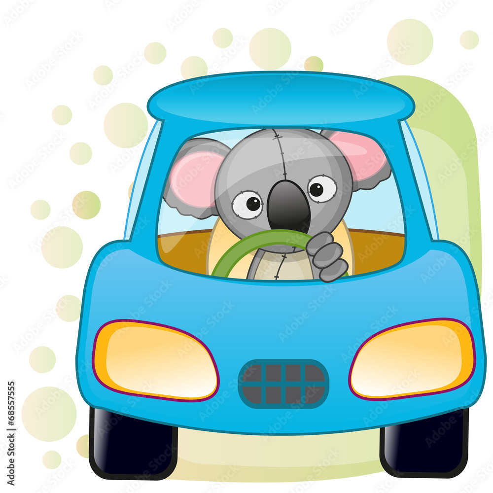 Fototapeta premium Koala in a car