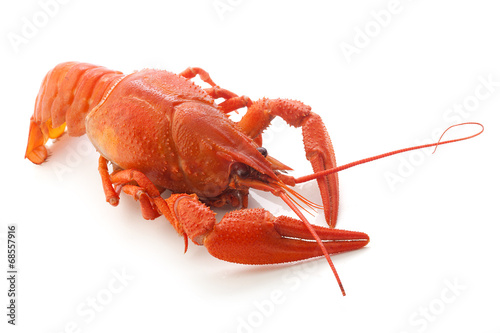 Billede på lærred Boiled crawfish