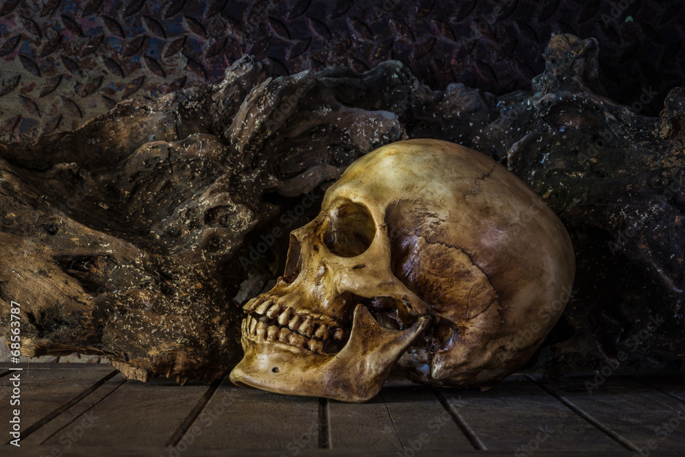 Still Life with a Skull. Still Life with a Skull.