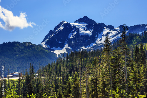 Mount Shuksan Evergreens Mount Baker Ski Area Washington © Bill Perry