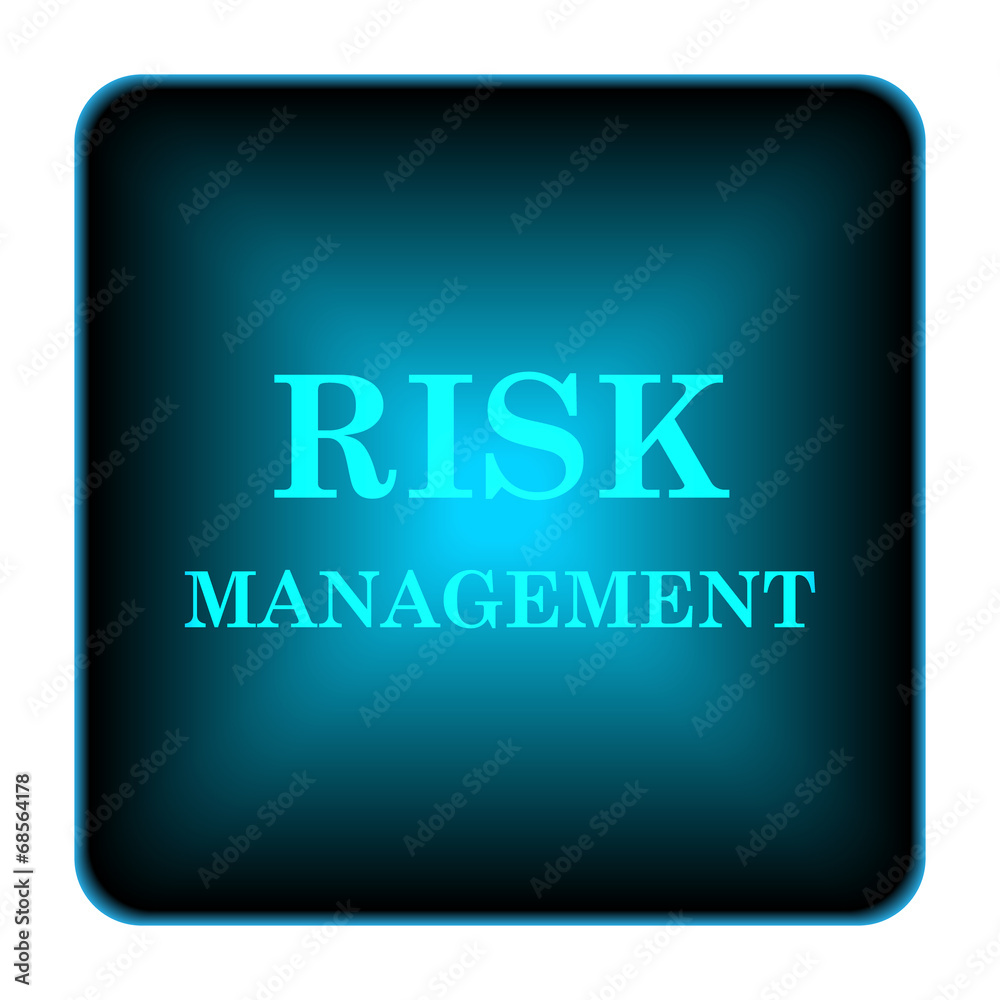Risk management icon