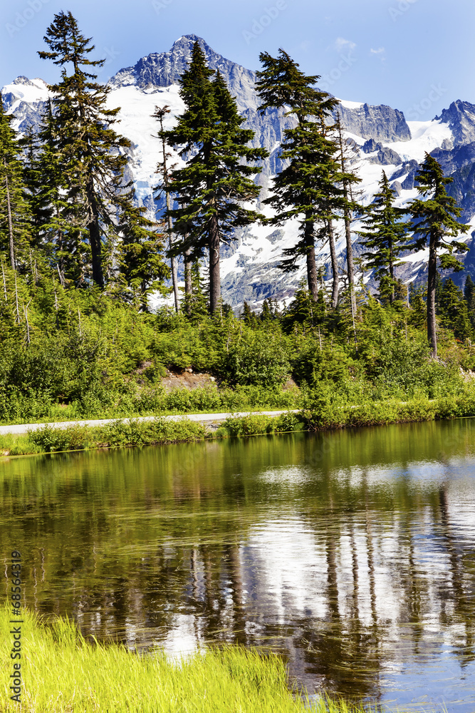 Picture Lake Evergreens Mount Shuksan Washington USA Picture Lake Evergreens Mount Shuksan Washington USA