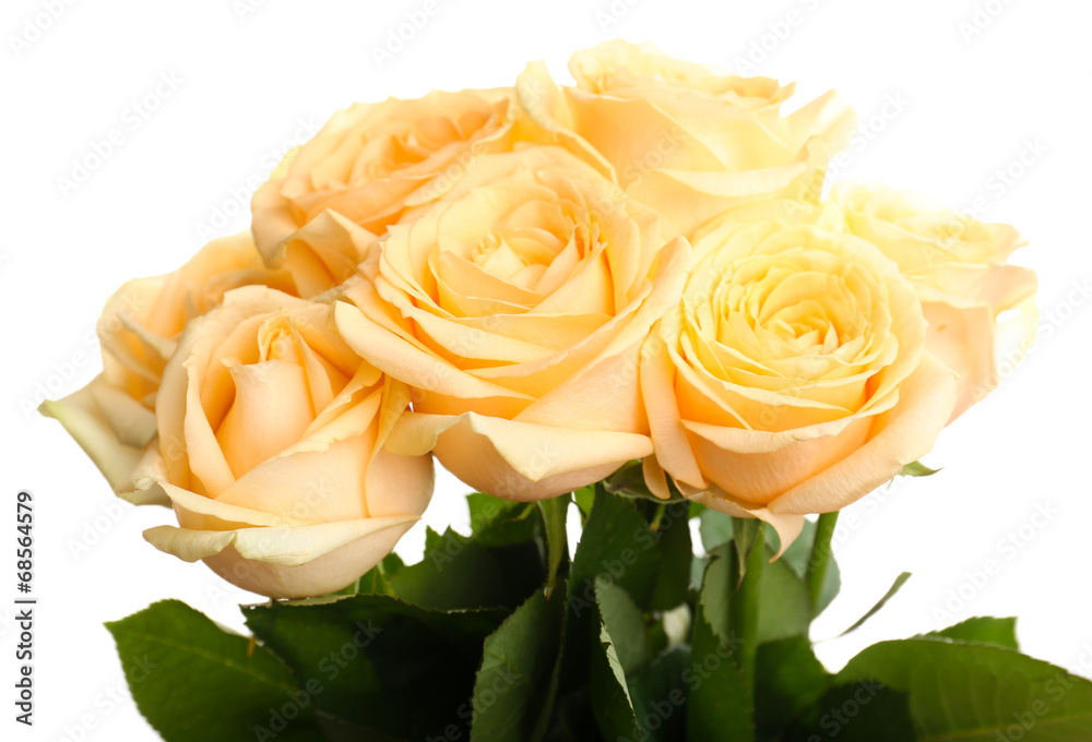 Bouquet of beautiful roses isolated on white Bouquet of beautiful roses isolated on white