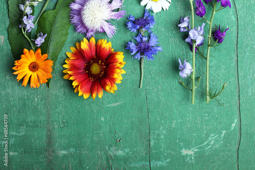 Beautiful wildflowers on wooden background