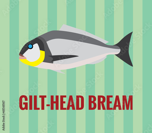 Gilt-head bream drawing on green background