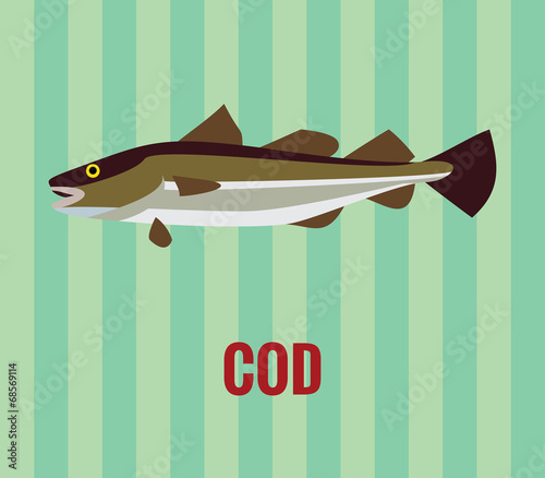 Cod drawing on green background