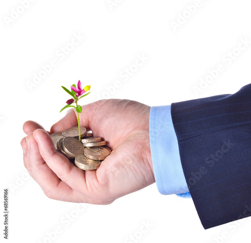 Young sprout with flower grows from a heap of British pound ster photo