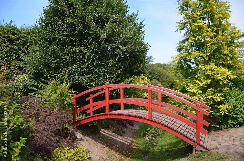 Fototapeta premium W środku lata