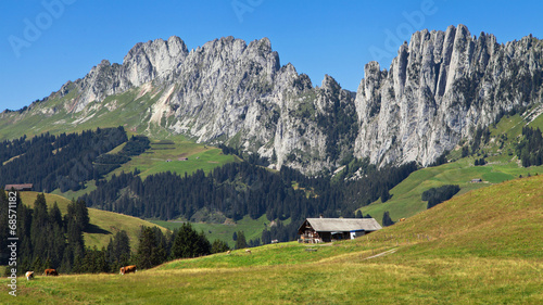 Jaunpass photo