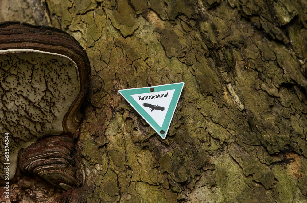 Naturdenkmal StockFoto Adobe Stock