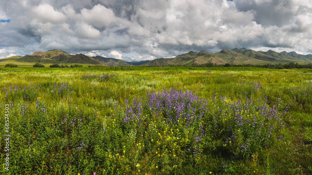 Fototapeta premium Lato.