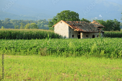 Fields and old house