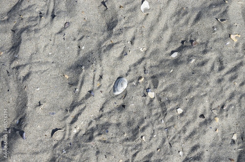 Sand beach background