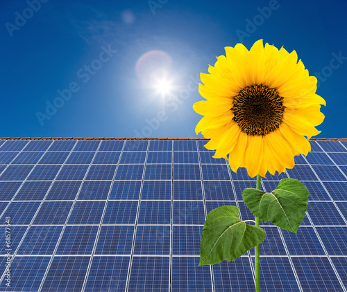 Solarkollektoren mit Sonnenblumen