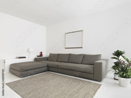 interior view of living room with fabric sofa and carpet