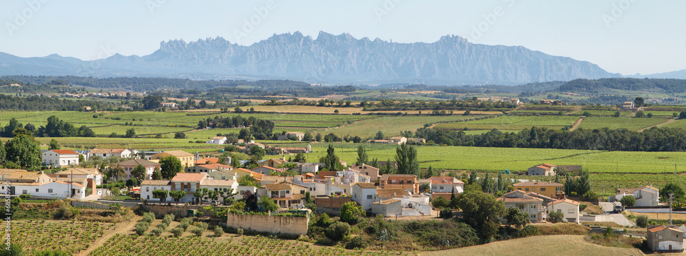 Obraz premium Vineyards with Montserrat peaks at background