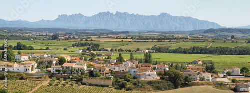 Vineyards with Montserrat peaks at background photo