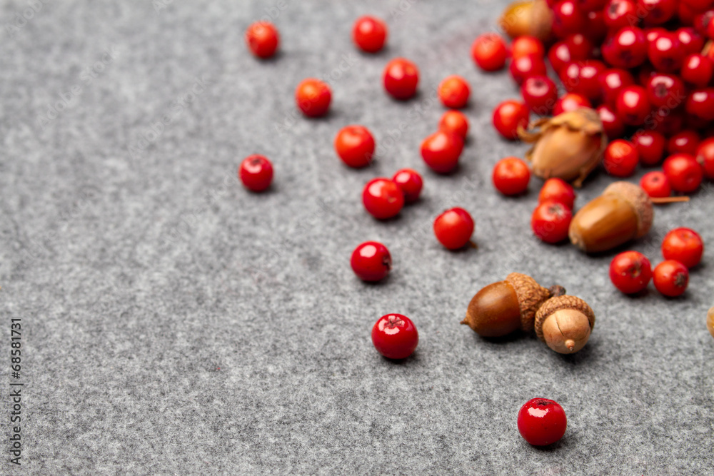red rowan and nuts on grey autumn background red rowan and nuts on grey autumn background