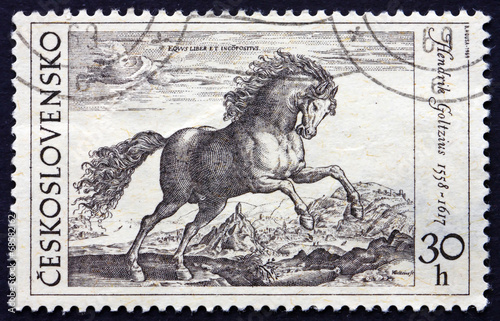 Prancing Stallion by Hendrik Goltzius photo