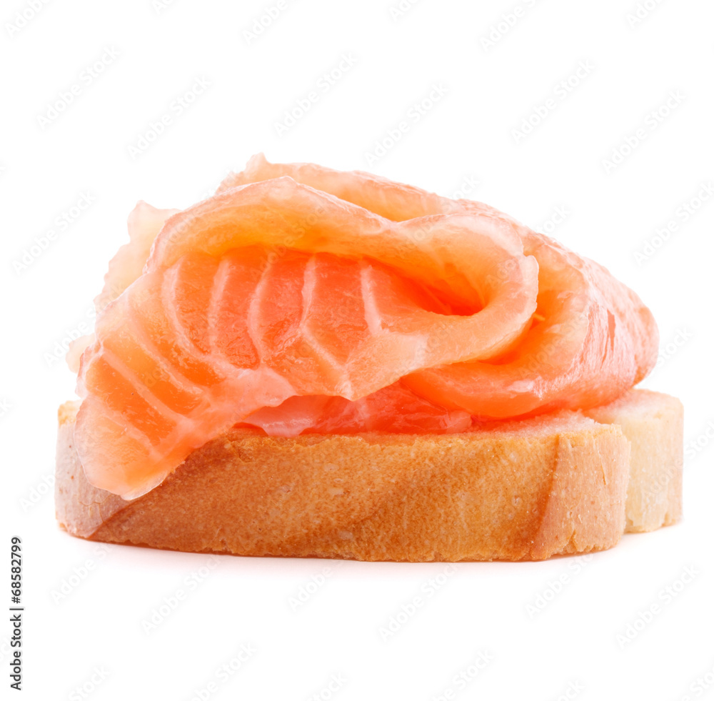 sandwich or canape with salmon on white background cutout sandwich or canape with salmon on white background cutout
