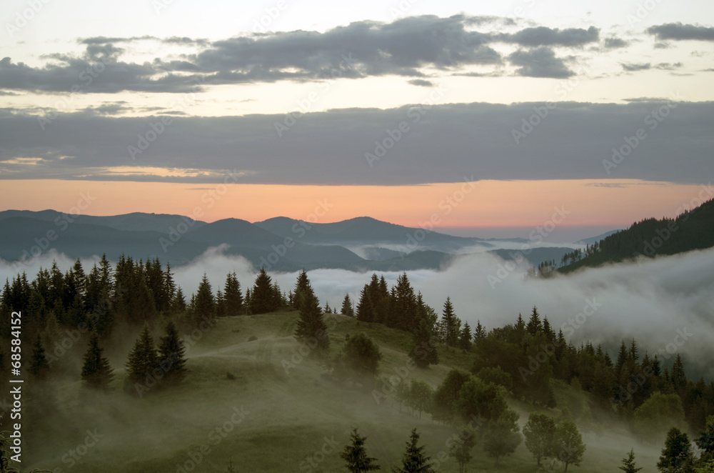 Fototapeta premium evening mountain plateau landscape (Carpathian, Ukraine)