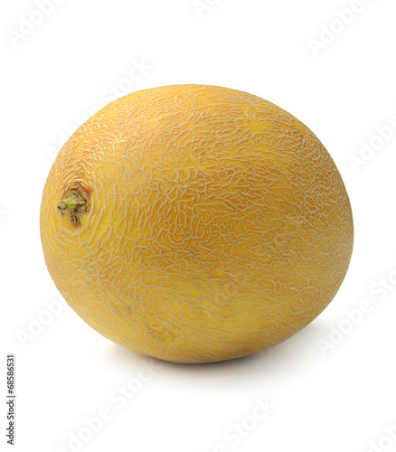 Cantaloupe melon