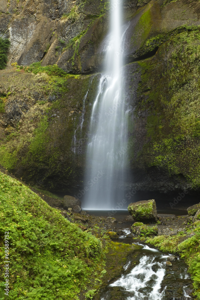 Obraz premium Multnomah Falls
