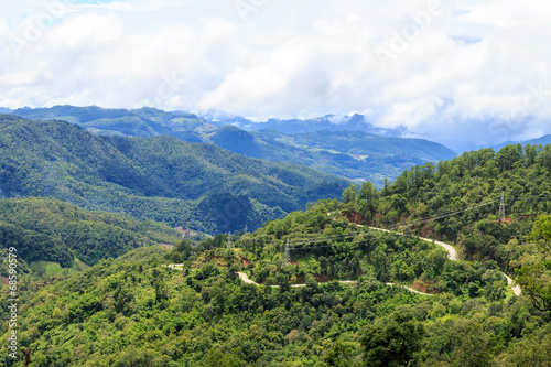 countryside hill road  with green tree