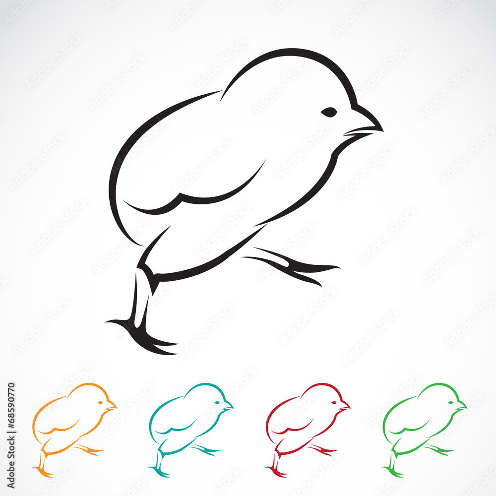 Vector image of an chick Vector image of an chick